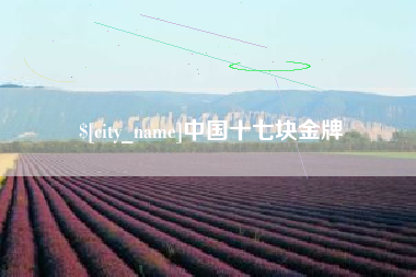 甘肃中国十七块金牌