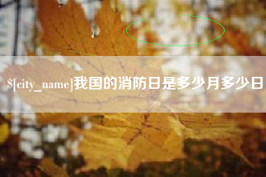 甘肃我国的消防日是多少月多少日