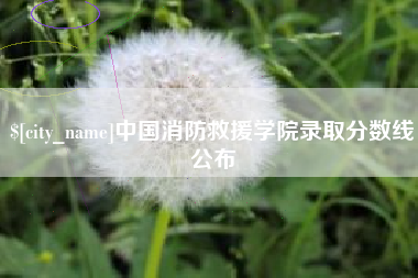 甘肃中国消防救援学院录取分数线公布