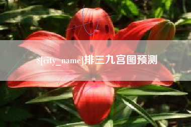 甘肃排三九宫图预测