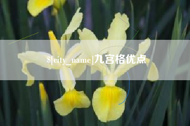 甘肃九宫格优点