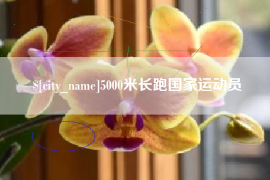 甘肃5000米长跑国家运动员
