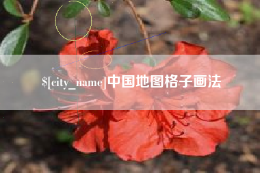 甘肃中国地图格子画法