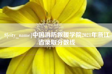 甘肃中国消防救援学院2021年浙江省录取分数线