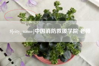 甘肃中国消防救援学院 老师