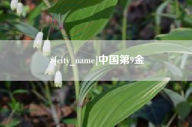 甘肃中国第9金