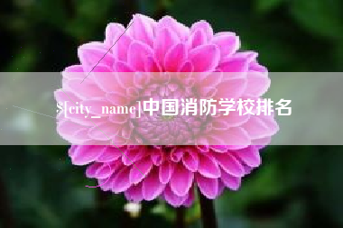 甘肃中国消防学校排名