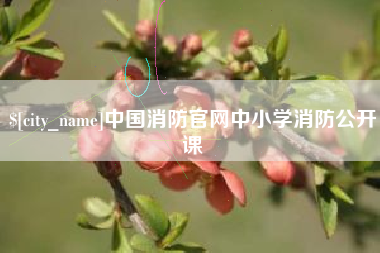 甘肃中国消防官网中小学消防公开课