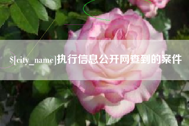 甘肃执行信息公开网查到的案件