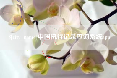 甘肃中国执行记录查询系统app