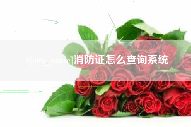甘肃消防证怎么查询系统