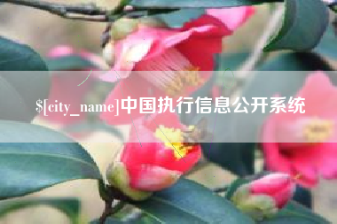 甘肃中国执行信息公开系统