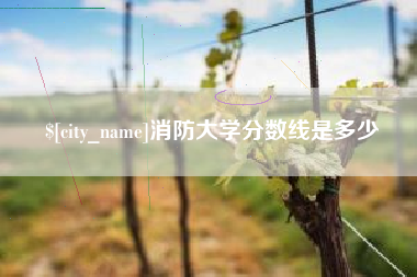 甘肃消防大学分数线是多少