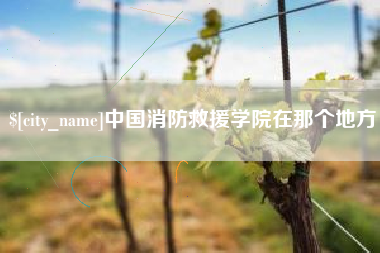 甘肃中国消防救援学院在那个地方