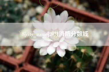 甘肃2021消防分数线