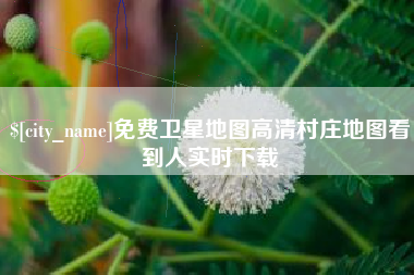 甘肃免费卫星地图高清村庄地图看到人实时下载