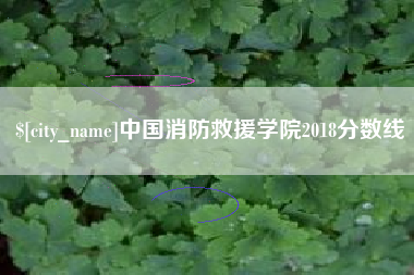 甘肃中国消防救援学院2018分数线