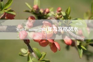 甘肃2021年九宫格风水