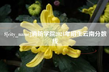 甘肃消防学院2024年招生云南分数线