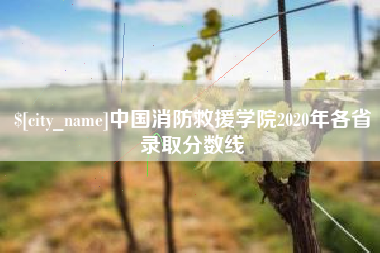 甘肃中国消防救援学院2020年各省录取分数线