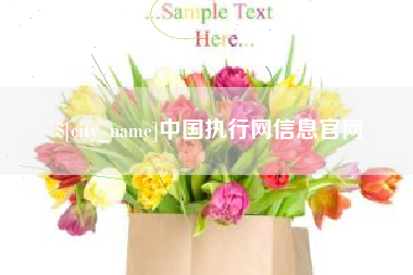 甘肃中国执行网信息官网