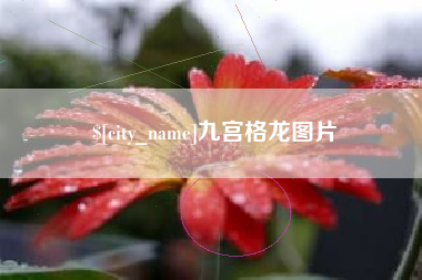 甘肃九宫格龙图片