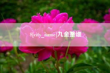 甘肃九金是谁