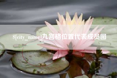 甘肃九宫格位置代表成员图