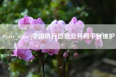 甘肃中国执行信息公开网平台维护