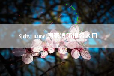 甘肃国家消防报名入口