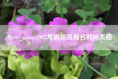 甘肃2025年消防员报名时间表格