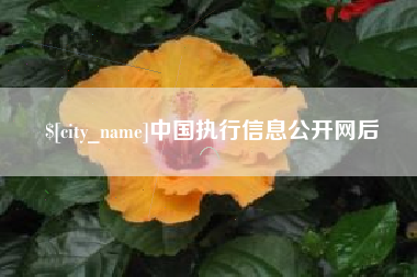 甘肃中国执行信息公开网后