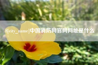 甘肃中国消防网官网网址是什么