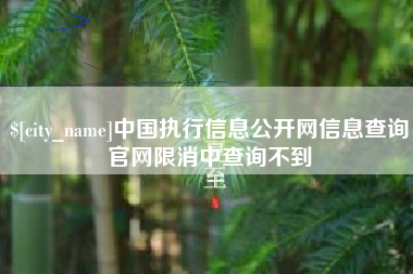 甘肃中国执行信息公开网信息查询官网限消中查询不到
