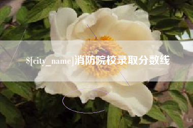 甘肃消防院校录取分数线