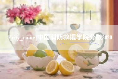 甘肃中国消防救援学院分数2020