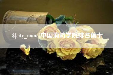 甘肃中国消防学院排名前十