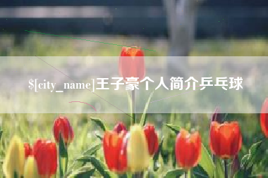 甘肃王子豪个人简介乒乓球