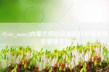 甘肃内蒙古自治区消防技术服务执业管理平台