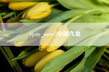 甘肃中国九金