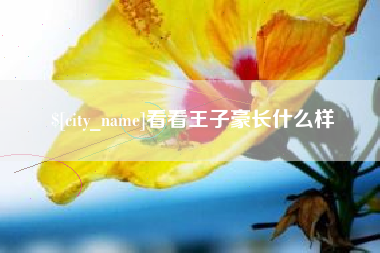 甘肃看看王子豪长什么样