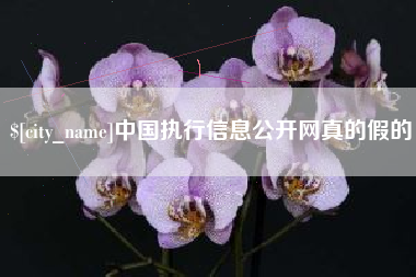 甘肃中国执行信息公开网真的假的