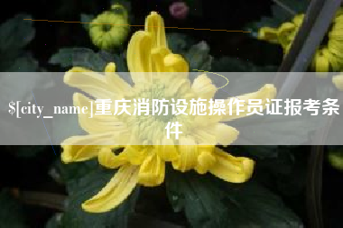 甘肃重庆消防设施操作员证报考条件