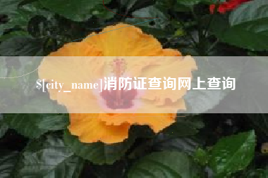 甘肃消防证查询网上查询