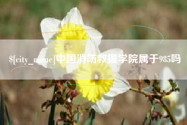 甘肃中国消防救援学院属于985吗