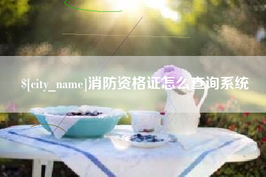 甘肃消防资格证怎么查询系统