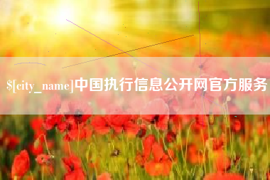 甘肃中国执行信息公开网官方服务