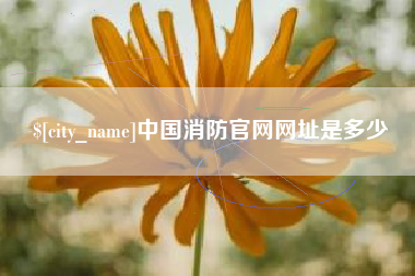 甘肃中国消防官网网址是多少