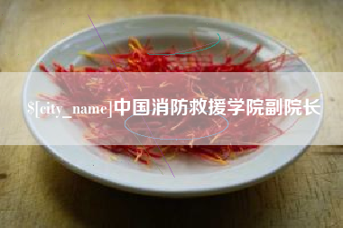 甘肃中国消防救援学院副院长