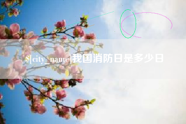 甘肃我国消防日是多少日